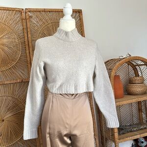 Aritzia Wilfred free sweater crop turtleneck